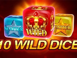 10 Wild Dice