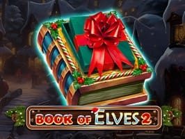 Book Of Elves 2